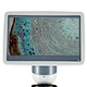 LCD Digital Biological Microscope